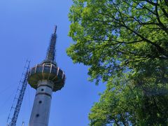 -岳麓山风景名胜区