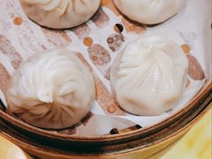 -朱新年·苏式汤团·面点(桂平支路店)