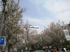 -天津五大道文化旅游区