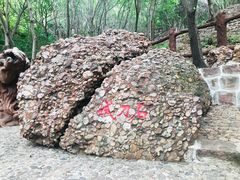 -山叶口景区