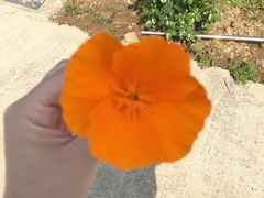 -弄堂里(雨花客厅店)