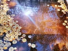 -郑州银基黄帝宫御温泉