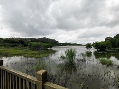 -清溪大王山森林公园
