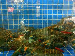 -星记小馆·小蓝龙·老南京砂锅菜(上海路店)