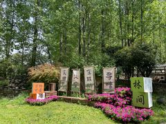 -林间山庄