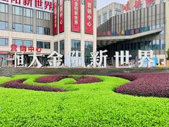 -恒大金阳新世界