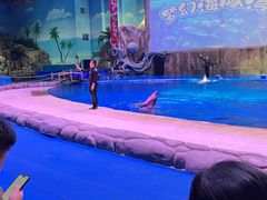 -华夏文旅海洋公园