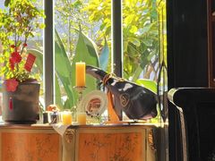 -一棵树·意大利西餐厅One Tree(新城店)