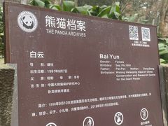 -都江堰中华大熊猫苑