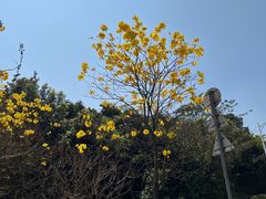 -火炉山森林公园