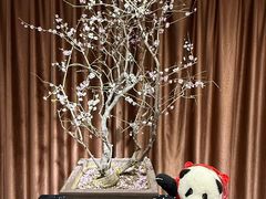 -石家庄市植物园
