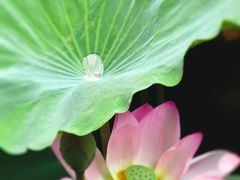 -荔湾湖公园