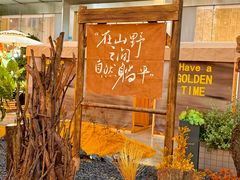 -首开·龙湖成都西宸天街