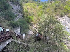 -秦岭天竺山景区