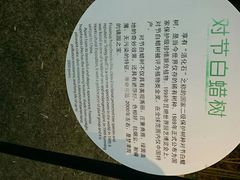 android_upload_pic-苏州河梦清园环保主题公园