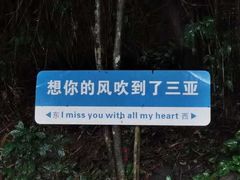 -亚龙湾热带天堂森林公园