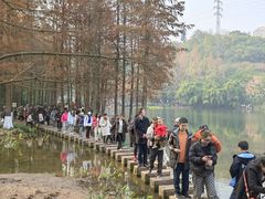 -重庆彩云湖湿地公园