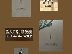 -M Stand(蓝色港湾店)