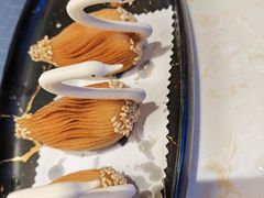 -点都德·毕德寮