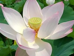 -南戴河国际娱乐中心