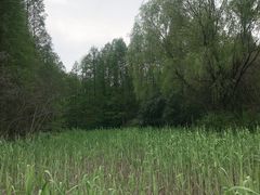 -同里国家湿地公园
