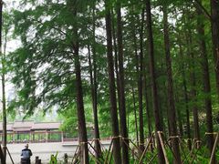 -重庆彩云湖湿地公园