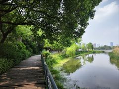 -月湖风景区