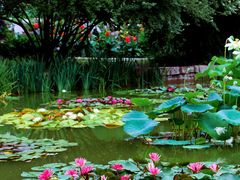 -国家植物园南园