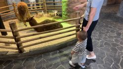 -Zoolung Zoolung动物主题公园(海信广场店)