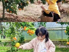 -艺年级儿童语言艺术中心(冉家坝爱融荟城店)