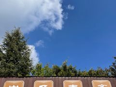 -崇圣寺三塔文化旅游区