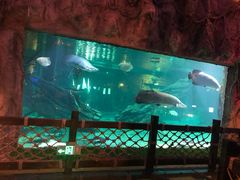 -华夏文旅海洋公园