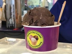 -Dooley's Premium Ice Cream