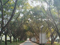 -白鹭洲公园