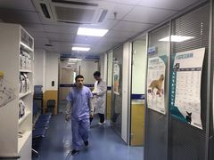 -美联众合动物医院(·中兽医·疑难杂症·严家桥分院)