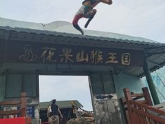 -西霞口神雕山野生动物世界