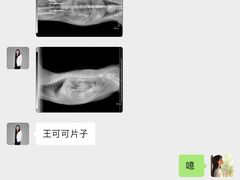 -特一安24小时宠物医院·骨科·中兽医