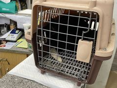 -爱侣宠医·鹦鹉专科·小型哺乳类·异宠专科(灵石路店)