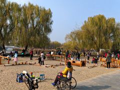 -大兴滨河森林公园