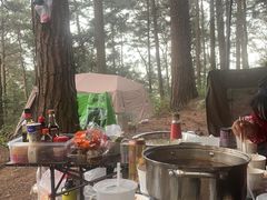 -重庆睡佛山森林公园