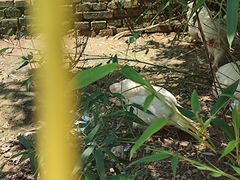 -丽泽山庄·生态怀柔菜·虹鳟鱼(红螺寺店)