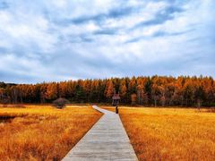 -塞罕坝国家级自然保护区