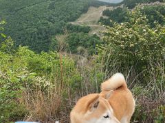 -白草畔自然风景区