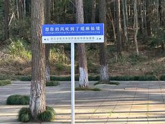 -瑶琳仙境