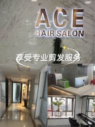 -ACE造型