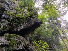 -梭布垭石林景区