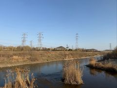 -羊山湖公园