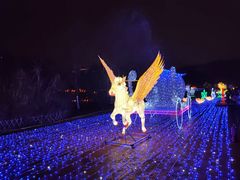 -飞凤山奥体公园