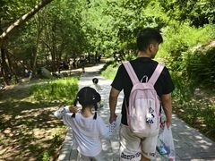 -白水寺森林公园