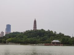 -顺峰山公园